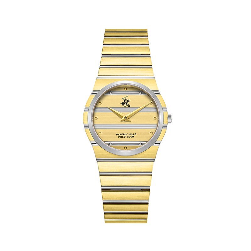 BHPC BP3818X.210